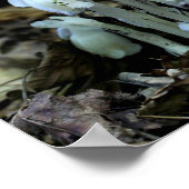 Wildblumen der indischen Pipe-Ghost-Blume Poster (Ecke)