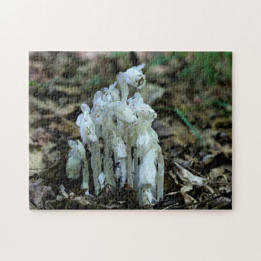 Wildblumen der indischen Pipe-Ghost-Blume Puzzle (Horizontal)
