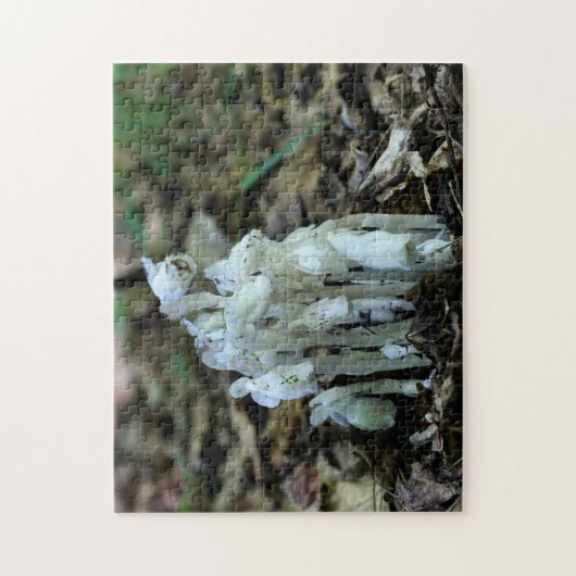 Wildblumen der indischen Pipe-Ghost-Blume Puzzle (Vertikal)