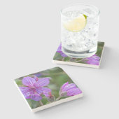 Wildblumen der klebrigen Pelargonie Steinuntersetzer (Seitenansicht)