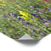 Wildblumen der Leitkräfte Poster (Ecke)