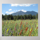 Wildblumen der Leitkräfte Poster (Vorne)