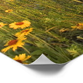 Wildblumen der Prärie im Gletschertal Poster (Ecke)