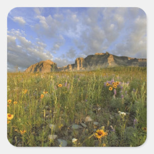 Wildblumen der Prärie im Gletschertal Quadratischer Aufkleber