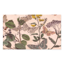 Wildblumen der Vintagen botanischen Blumenbilder