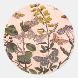 Wildblumen der Vintagen botanischen Blumenbilder Runder Aufkleber