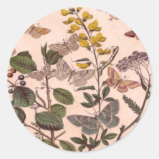 Wildblumen der Vintagen botanischen Blumenbilder Runder Aufkleber (Vorderseite)