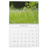 Wildblumen der Wiese Kalender (Jan 2027)