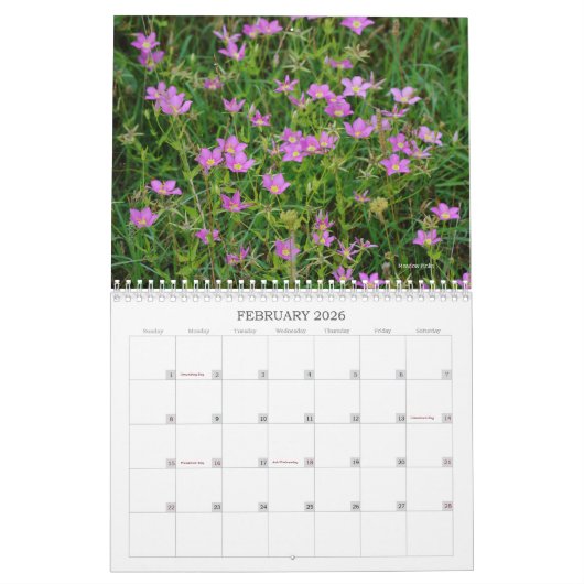 Wildblumen der Wiese Kalender (Feb 2026)