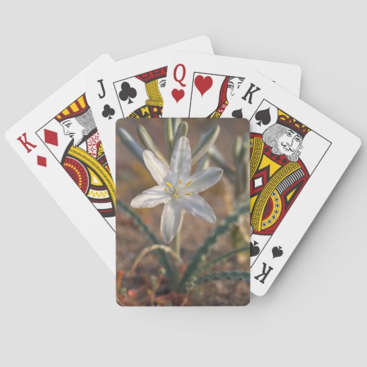 Wildblumen der Wüstenlilie Spielkarten (Rückseite)