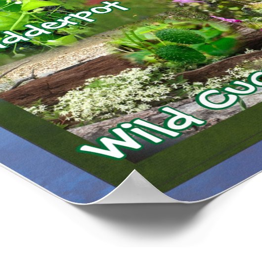 Wildblumen des Oklahoma Poster 19v2 (Ecke)