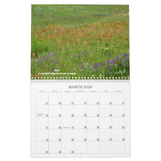 Wildblumen des Texas-Kalenders Kalender (Mär 2026)