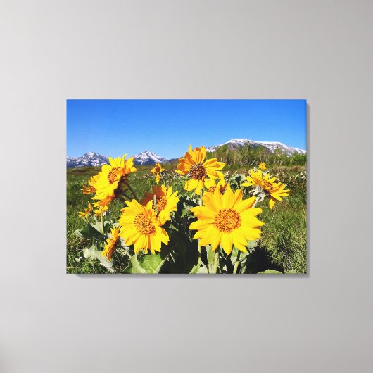 Wildblumen des Waterton-Seen-Nationalparks Leinwanddruck (Vorderseite)