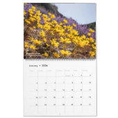 Wildblumen des Westerns, Kalenderjahr 2023 Kalender (Jan 2026)