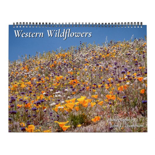 Wildblumen des Westerns, Kalenderjahr 2023 Kalender (Titelbild)