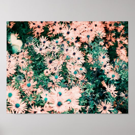 Wildblumen Einzigartige Farben Poster (Vorne)