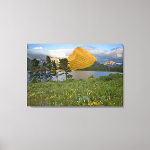 Wildblumen entlang des Swiftcurrent Lake in Many Leinwanddruck