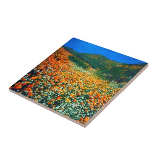 Wildblumen Fliese (Seite)