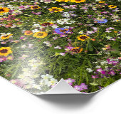Wildblumen Fotodruck (Ecke)