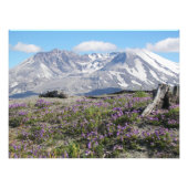 Wildblumen Fotodruck (Vorne)