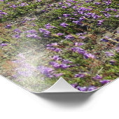 Wildblumen Fotodruck (Ecke)