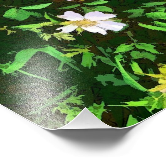 WILDBLUMEN FOTODRUCK (Ecke)