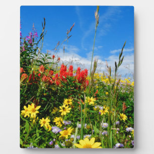 Wildblumen Fotoplatte