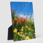 Wildblumen Fotoplatte (Seite)