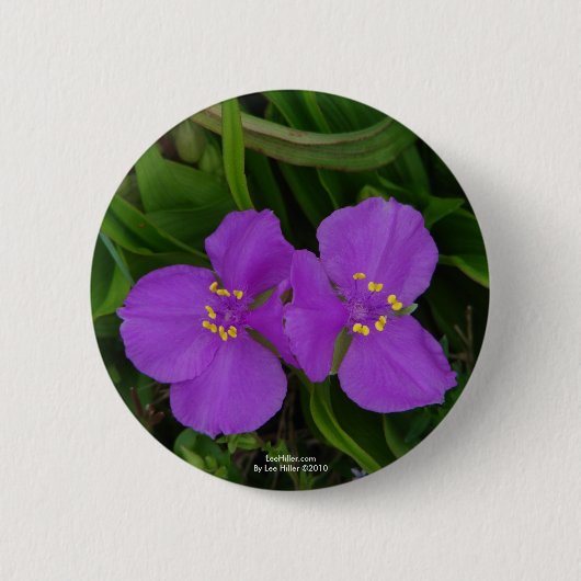 Wildblumen Fuchsia Spiderwort Heiße Federn Geschen Button (Vorderseite)