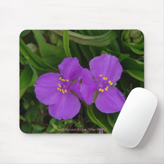Wildblumen Fuchsia Spiderwort Heiße Federn Geschen Mousepad (Mit Mouse)