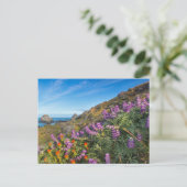 Wildblumen für Lupine und Pinselpinsel Postkarte (Stehend Vorderseite)