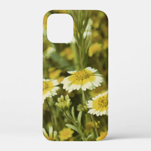 Wildblumen Gelbe und weiße Sonnenblumen Case-Mate iPhone Hülle