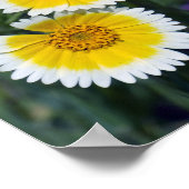 Wildblumen Gelbe und weiße Sonnenblumen Poster (Ecke)