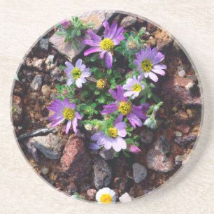 Wildblumen Getränkeuntersetzer