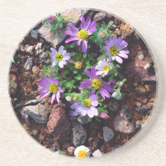 Wildblumen Getränkeuntersetzer (Vorne)