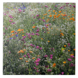 Wildblumen groß 6 Zoll x 6 Zoll Fliese