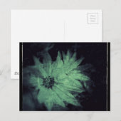 Wildblumen Grunge Postkarte (Vorne/Hinten)