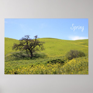 Wildblumen Hillside Foto Eiche Landschaftliches Fo Poster