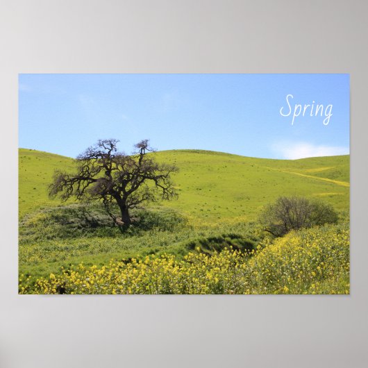 Wildblumen Hillside Foto Eiche Landschaftliches Fo Poster (Vorne)