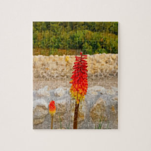 Wildblumen & Historische Ruinen individuell Puzzle