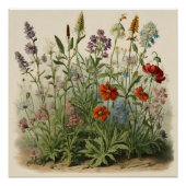 Wildblumen Illustration Poster (Vorderseite)