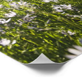 Wildblumen im Feld Poster (Ecke)