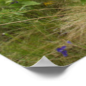 Wildblumen im Frühling Poster (Ecke)