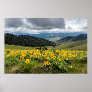 Wildblumen im Frühling Poster