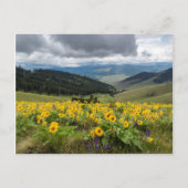 Wildblumen im Frühling Postkarte (Vorderseite)