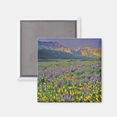 Wildblumen im Gletscher Viele Magnet (Vorderseite/Rückseite)