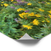 Wildblumen im Gletscher Viele Poster (Ecke)