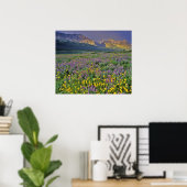 Wildblumen im Gletscher Viele Poster (Heimbüro)