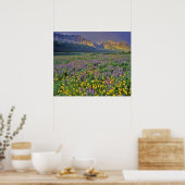 Wildblumen im Gletscher Viele Poster (Küche)