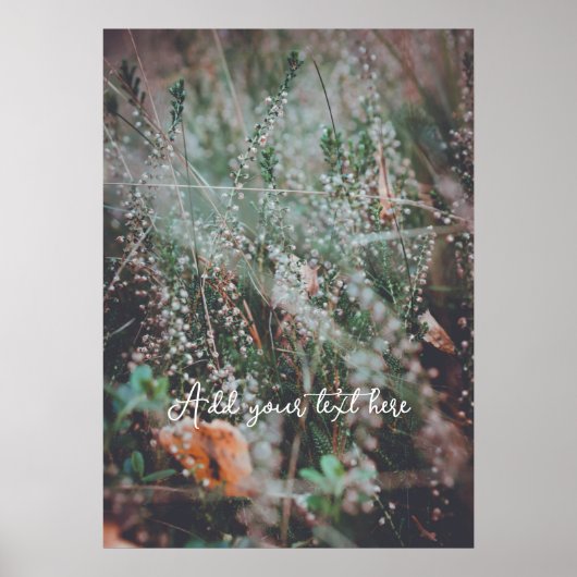 Wildblumen im Herbst Poster (Vorne)